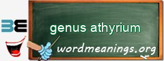 WordMeaning blackboard for genus athyrium